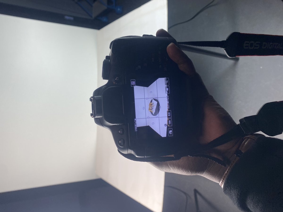 Shooting the bird in the light tent