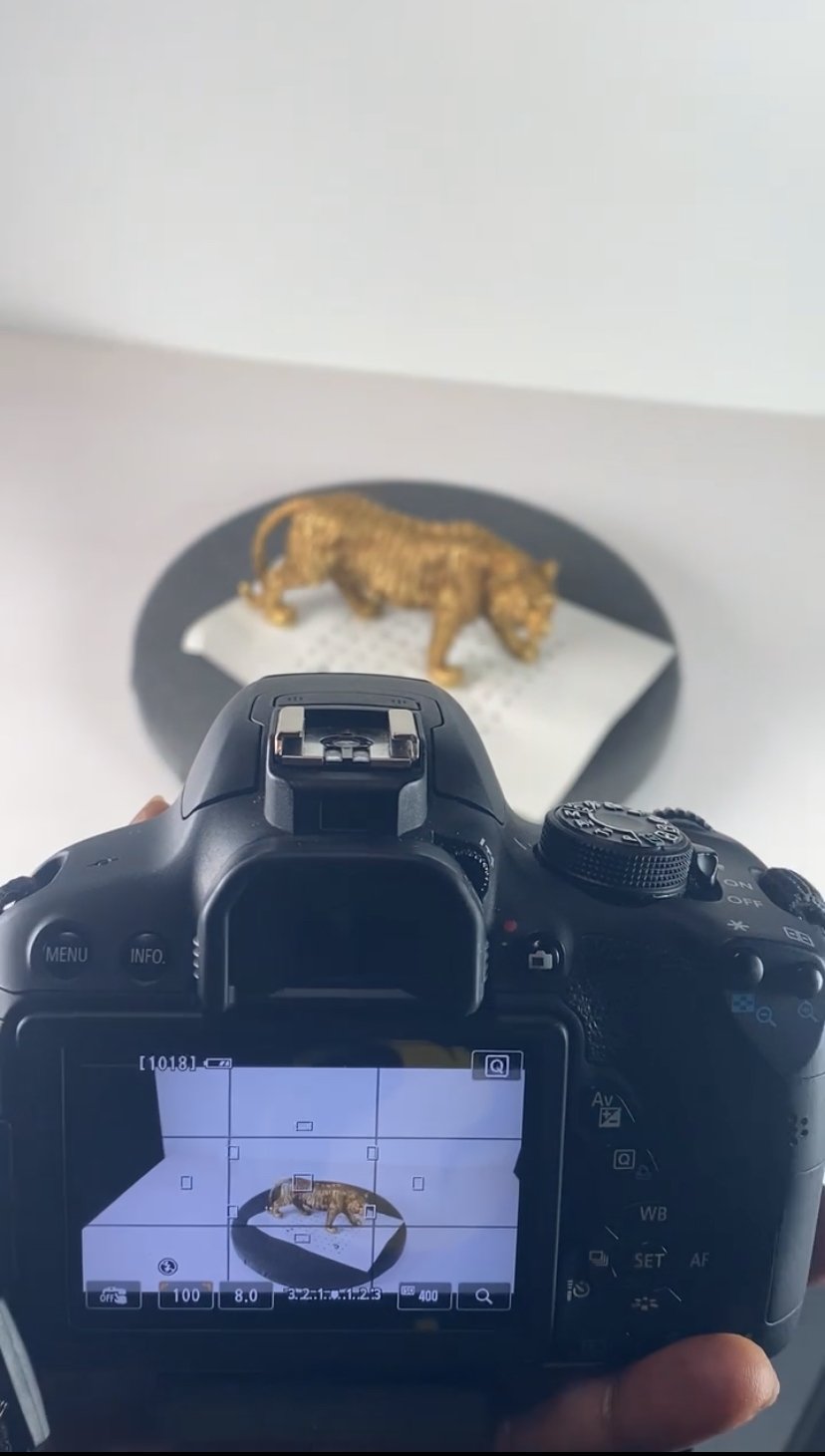 The tiger on the turntable
