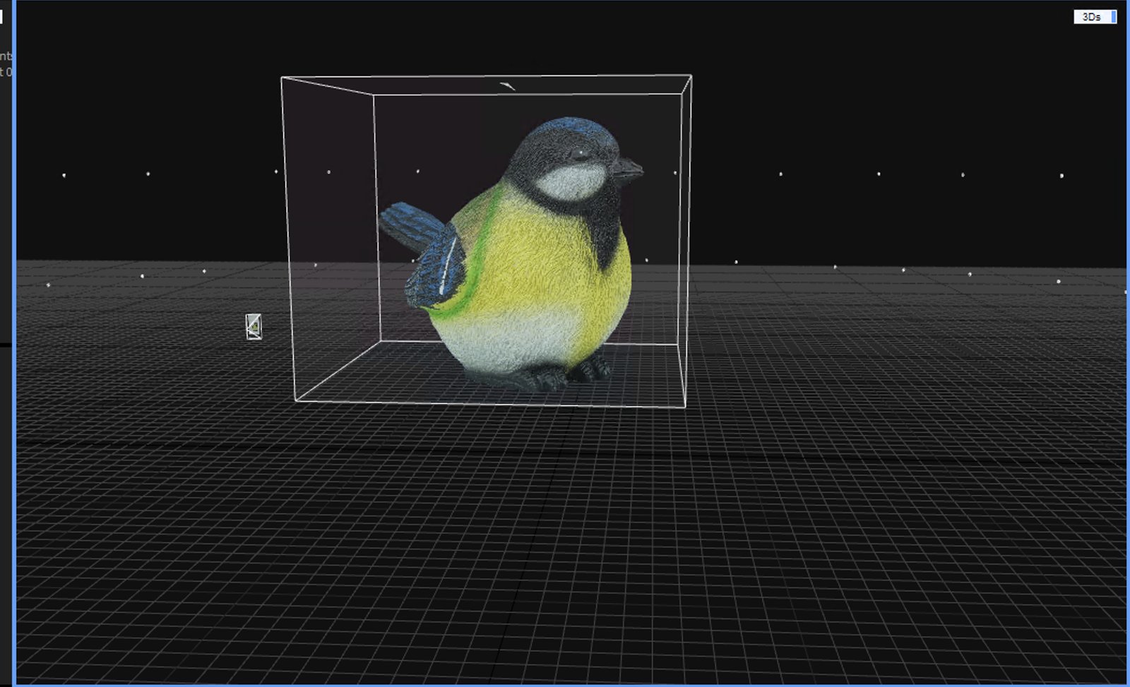 Bird reconstruction